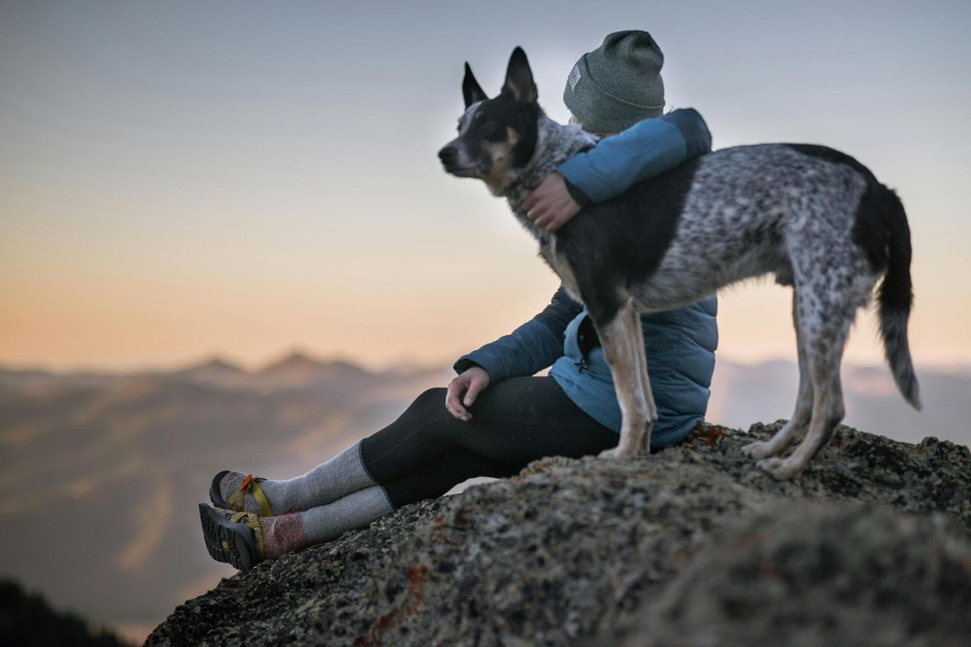 Specialist Vets in Boise